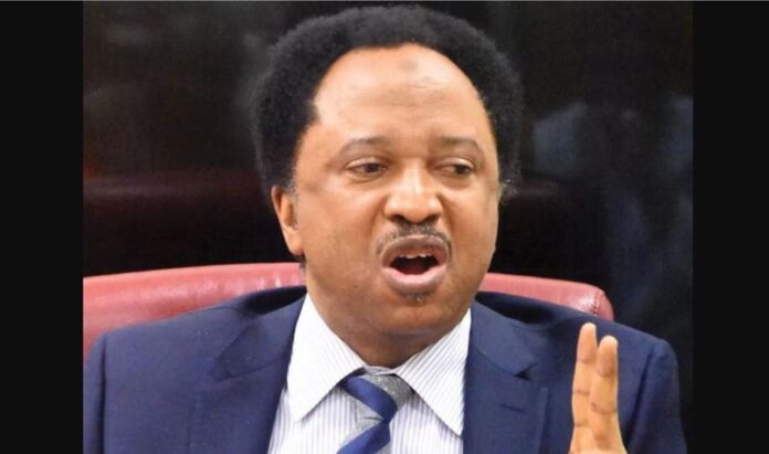 Shehu Sani tells