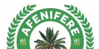 Afenifere fires