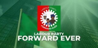 Tribunal nullifies LP’s victory in Eti-Osa Federal Constituency