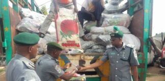 Apapa Customs garners