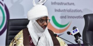 A boy in Buhari's govt who had never worked anywhere owns a private jet - Sanusi