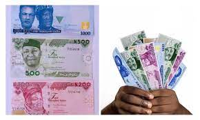 Naira in circulation