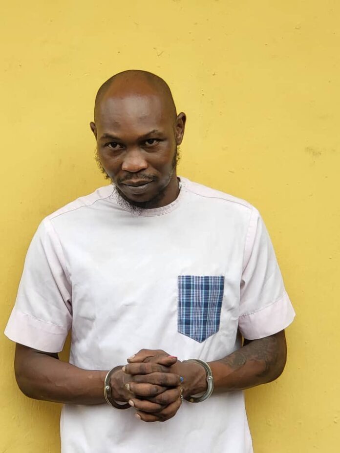 BREAKING: Court remands Seun Kuti for additional four days