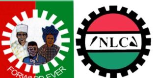 NLC -warns. LP-NLC