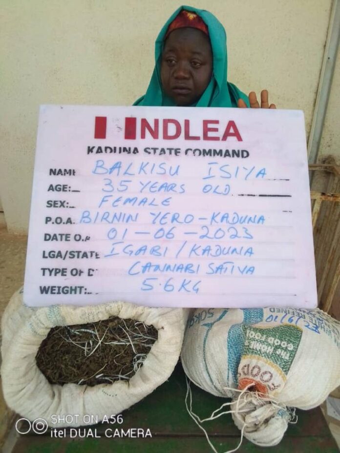 NDLEA-intercepts. Bilkisu-Isiya