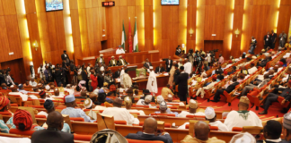 Senate moves to revive stalled $18.5bn Abuja Centenary City project