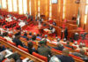 Bill to allow foreigners in Nigeria obtain NIN scales first reading in Senate