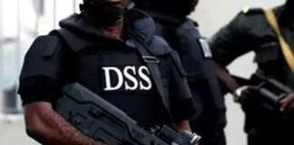 DSS-clarifies. DSS-operatives