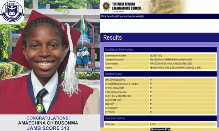 Amaechina, another Anambra female student, tops the charts in 2023 WASSCE, scores nine A1s