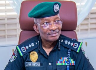 IGP places Police on red alert, frowns at nationwide protest