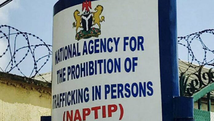 NAPTIP secures