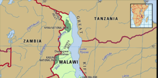 Malawi bans