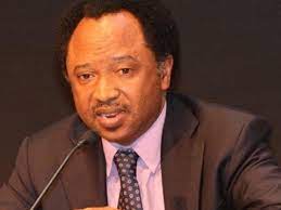 Shehu Sani doesn’t