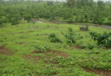 10 mistakes you must avoid when buying land in Nigeria