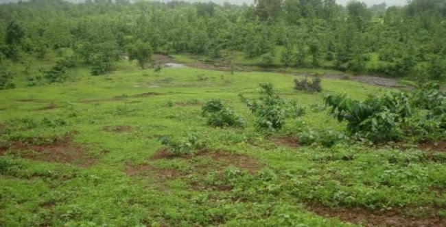 10 mistakes you must avoid when buying land in Nigeria