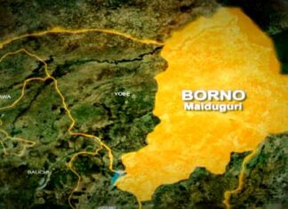 borno-map