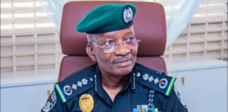 Deepening professionalism in the Nigeria Police Force