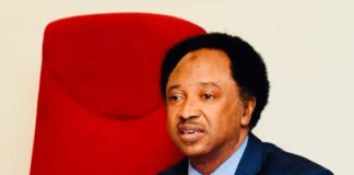 Shehu Sani presses