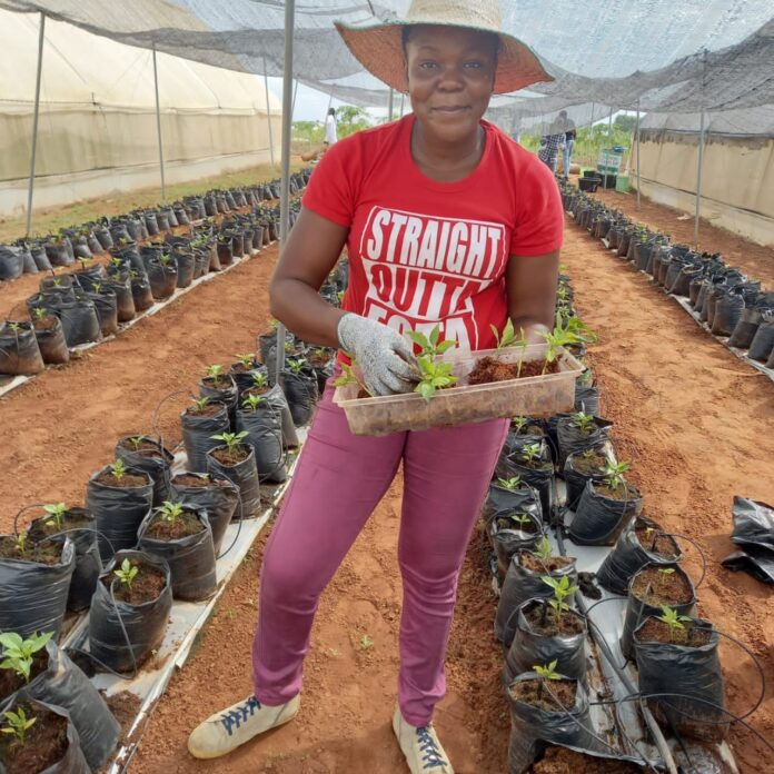 TheNiche-Young. Amaka-in-the-farm