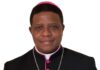 Bishop Onah: The global intellectual giant as the Shepherd of Nsukka