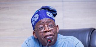 BREAKING: Tinubu creates Ministry of Livestock Development