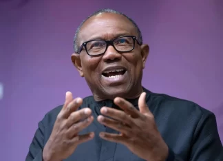 Presidency accuses Obi’s supporters of planning mayhem, orders DSS to to go after them