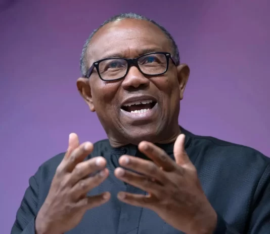 Presidency accuses Obi’s supporters of planning mayhem, orders DSS to to go after them