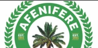 Afenifere supports