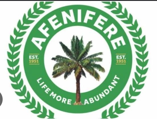 Afenifere supports