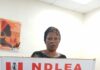 NDLEA-nabs. Adewunmi -Adebola- Dorcas