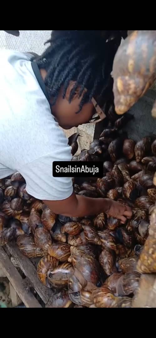 TheNiche-young. Mfonobong-and-her-snails