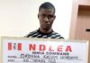 NDLEA-recovers. Okenwa- Kelvin- Uchenna