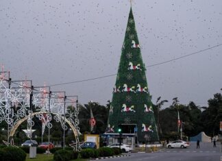 Tinubu-wife. Christmas-tree