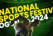 NATIONAL-SPORTS-FESTIVAL National Sports Festival