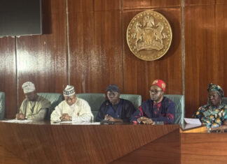 NEC-to-decide. Nigerian-governors