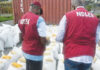 NDLEA arrests