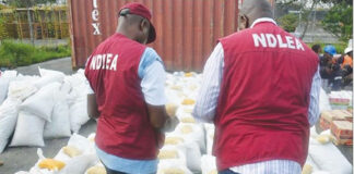 NDLEA arrests