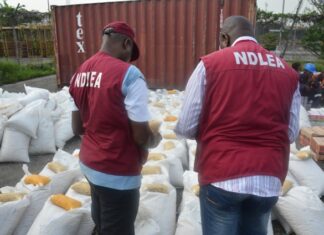 NDLEA arrests ex-convict