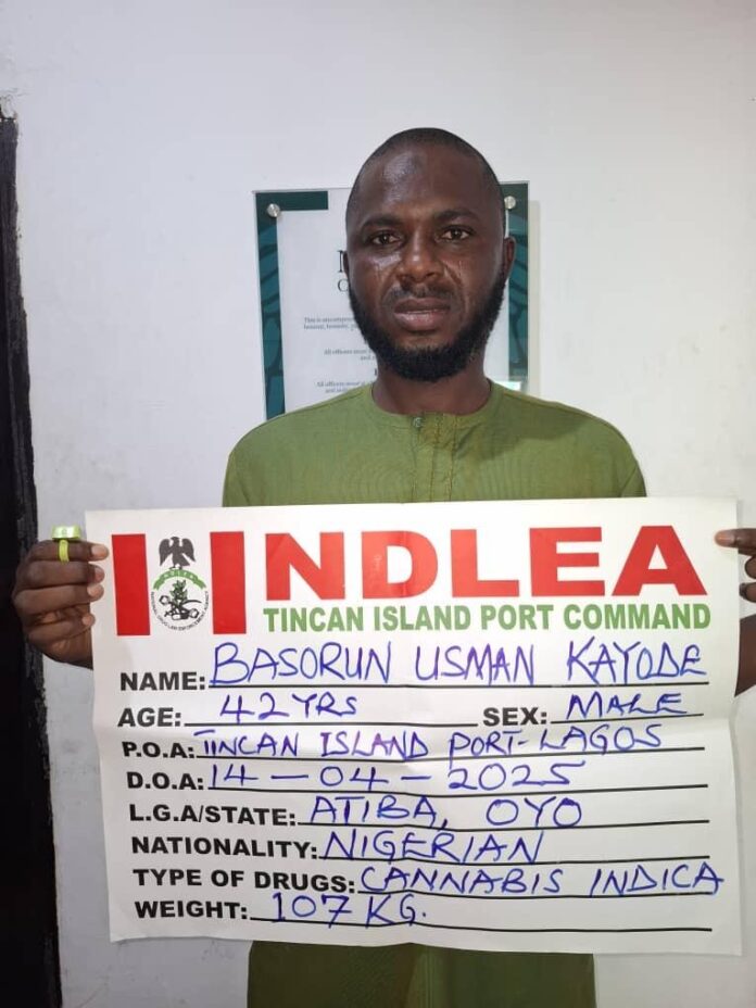 NDLEA-Intercepts. Basorun -Usman- Kayode,