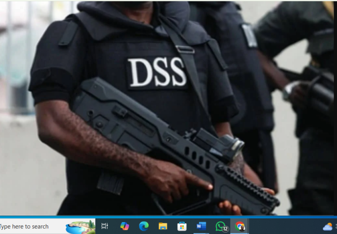 DSS arrests