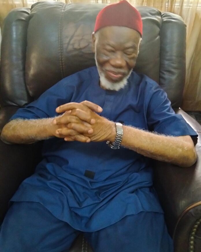 No political unity in Nigeria without economic integration - Uma Eleazu interview (2)