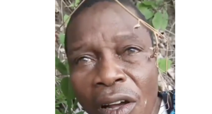 oyedokun