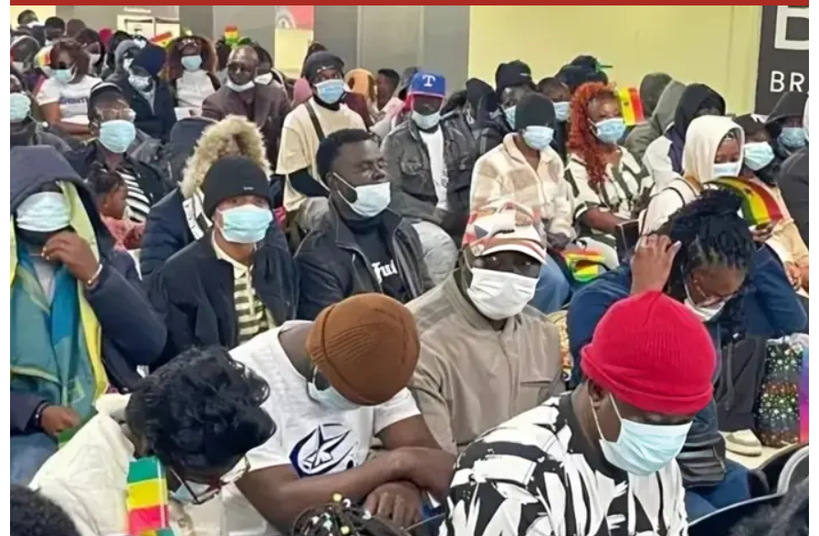FG flight cancellation leaves Nigerians stranded in South Africa - TheNiche
