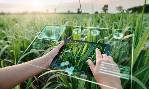 role-of-artificial-intelligence-in-agriculture